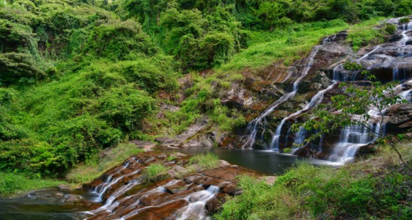 馬巒山郊野公園(圖片來源:深圳市城市管理和綜合執法局) 【深圳行大運5大秘境】鹽田龍崗1日遊︰8米發財樹打卡、拜金觀音深圳最高旺足全年