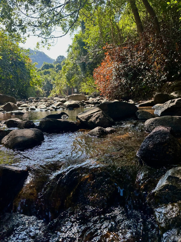 馬巒山郊野公園(圖片來源:小紅書@小籠包大魔王) 【深圳行大運5大秘境】鹽田龍崗1日遊︰8米發財樹打卡、拜金觀音深圳最高旺足全年