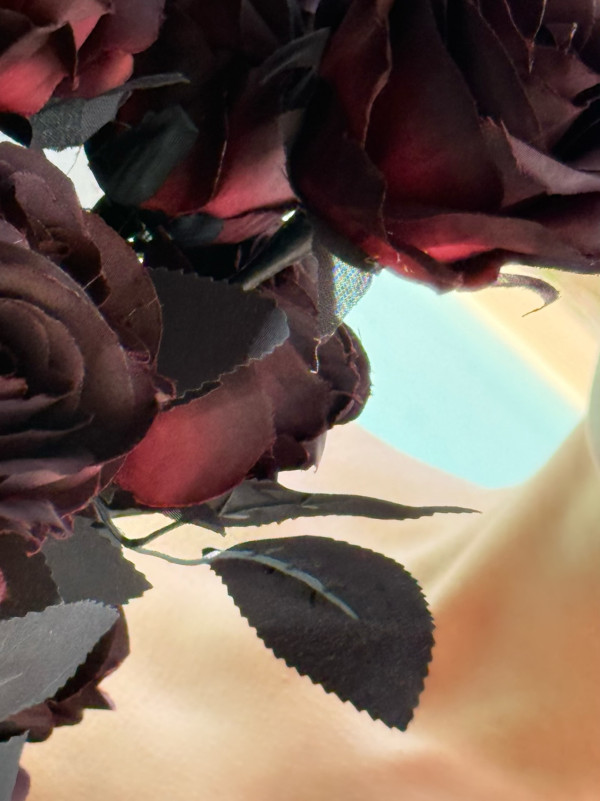 42歲千禧女神罕晒火紅性感比堅尼照!側身夾深溝真實身材曝光惹驚歎:唔識老