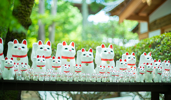 圖片來源:豪德寺 圖片來源:豪德寺