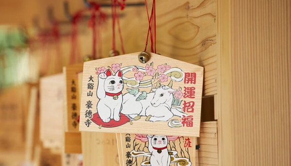 圖片來源:豪德寺 圖片來源:豪德寺