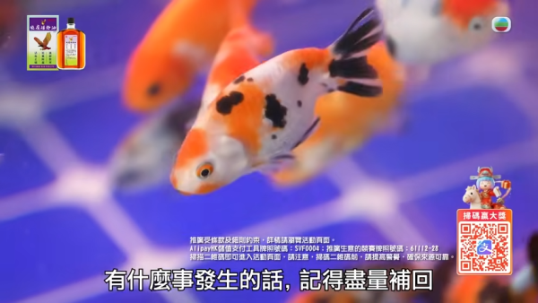 圖片資料來源：Youtube@TVB(official)