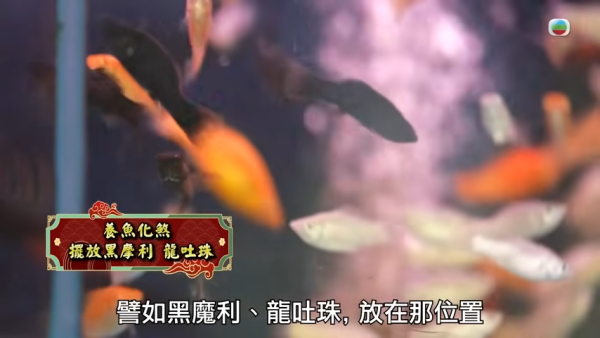 圖片資料來源：Youtube@TVB(official)