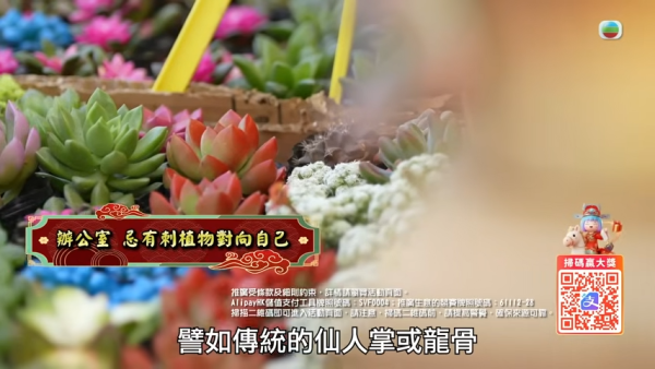 圖片資料來源：Youtube@TVB(official)