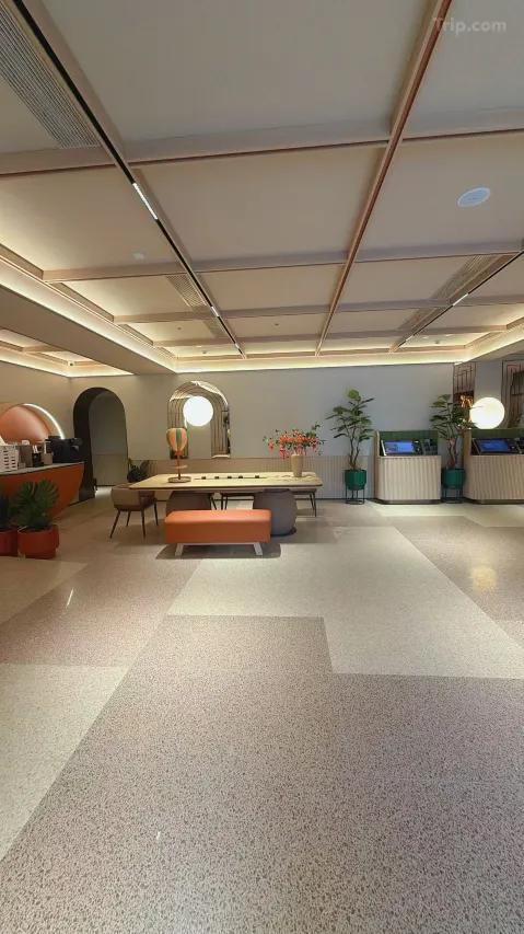 來源：Trip.com、南方都市報