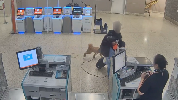 圖片來源：X @LVMPD