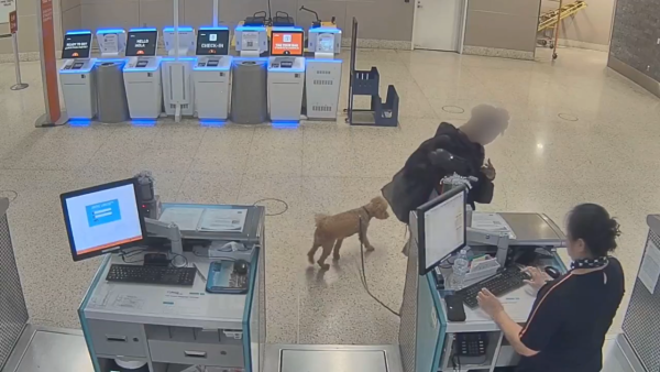 圖片來源：X @LVMPD