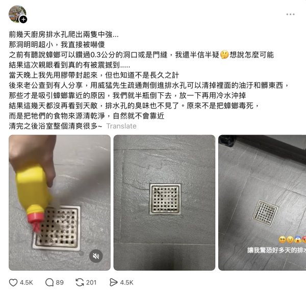 廚房極細排水孔驚見「小強」突破重圍!網民曬震撼畫面 靠1神器斬草除根