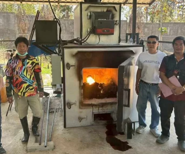 清邁老虎園爆貓瘟12日死72虎屍堆成山急封園 官方解答會否傳人 