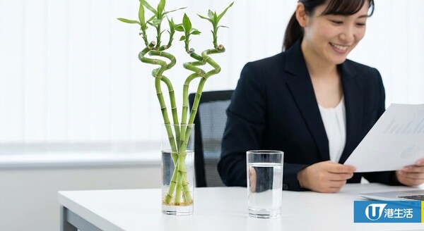 開工吉日2026｜辦公桌「左高右低」先有運行？唐碧霞揭升職 3 寶：椅背掛這件衫即有靠山