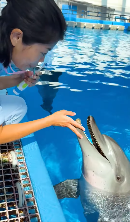 海洋公園最後北極狐「小高」離世！展館宣佈關閉網民不捨：盤點6大已故動物