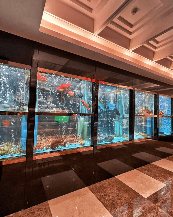 【深圳地鐵13號線】8大沿線美食推介 高CP值海鮮盛宴/藍鰭吞拿魚刺身/現拆蟹肉 