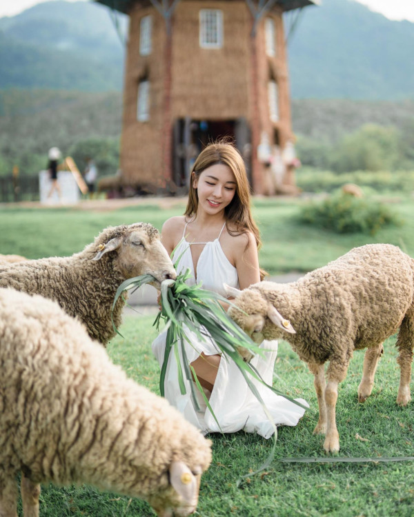 譚嘉儀無預警宣佈懷孕雙胞胎五個月!IG晒超聲波相報喜:「一個身體三個心跳」