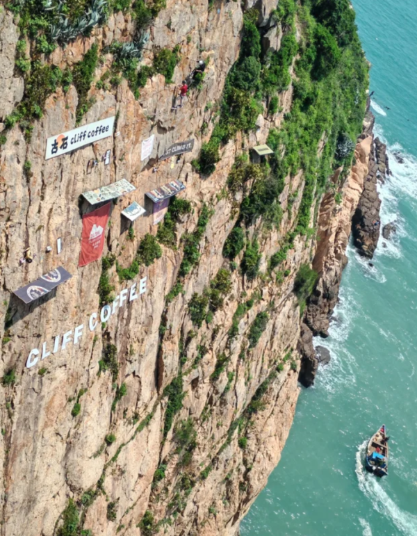 照片來源：小紅書@隔壁的momo