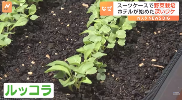 圖片來源:TBS NEWS DIG 圖片來源:TBS NEWS DIG