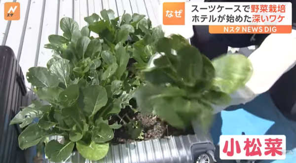 圖片來源:TBS NEWS DIG 圖片來源:TBS NEWS DIG