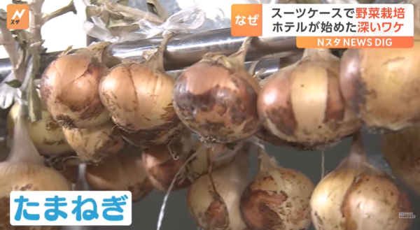 圖片來源:TBS NEWS DIG 圖片來源:TBS NEWS DIG