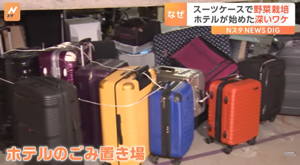 圖片來源:TBS NEWS DIG 圖片來源:TBS NEWS DIG