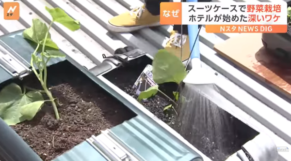 圖片來源:TBS NEWS DIG 圖片來源:TBS NEWS DIG