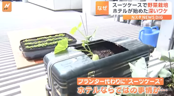 圖片來源:TBS NEWS DIG 圖片來源:TBS NEWS DIG