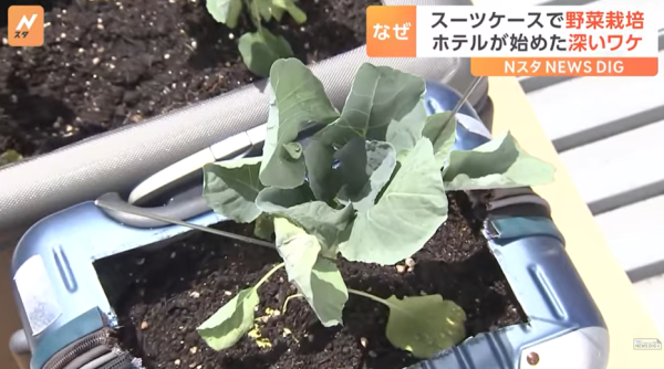 圖片來源:TBS NEWS DIG 圖片來源:TBS NEWS DIG