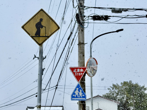 圖片來源：X @masuomickey