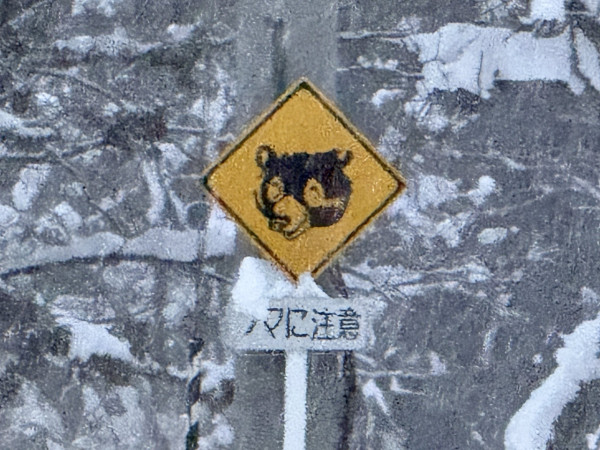 圖片來源：X @masuomickey