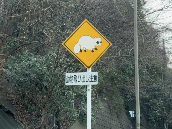 圖片來源：X @masuomickey