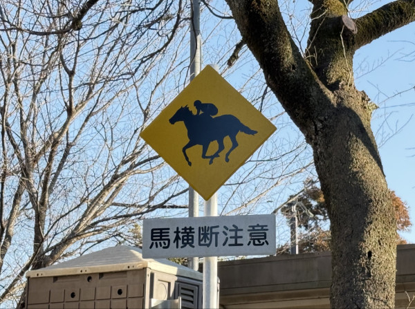 圖片來源：X @masuomickey