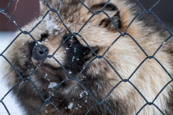 圖片來源:X @narickboxx 圖片來源:X @narickboxx