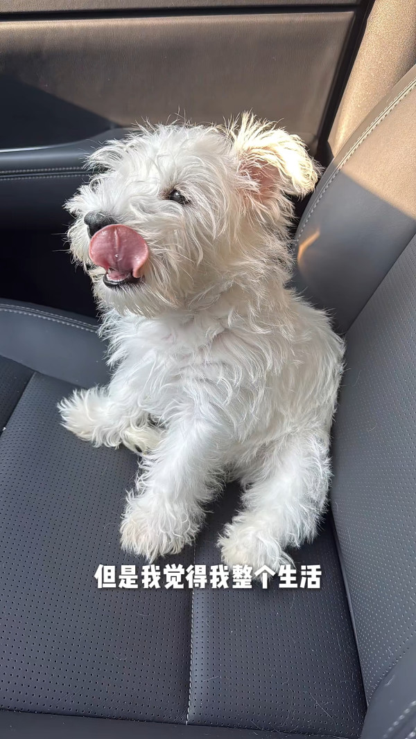 細細粒復胖後飲食失控陷崩潰焦慮 近況曝光一個改變反獲網民力撐狀態好