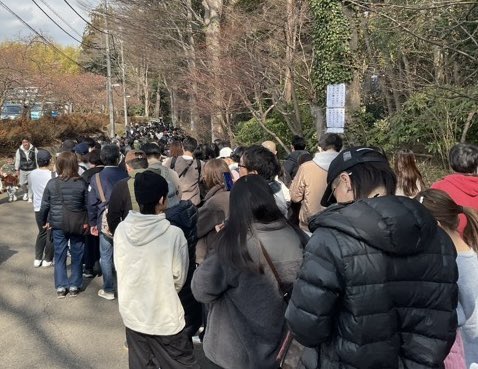 圖源來源： X@市川市動植物園