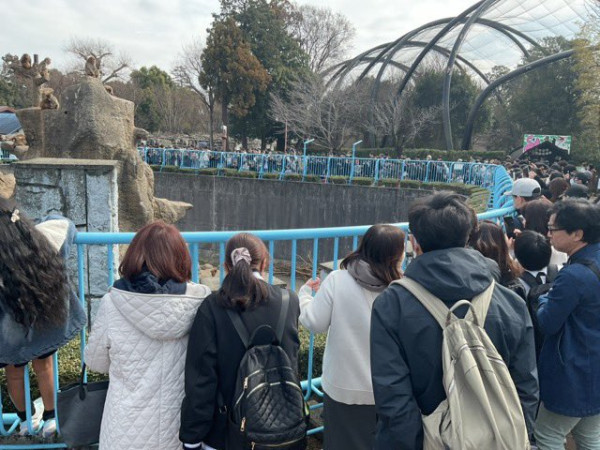 圖源來源： X@市川市動植物園