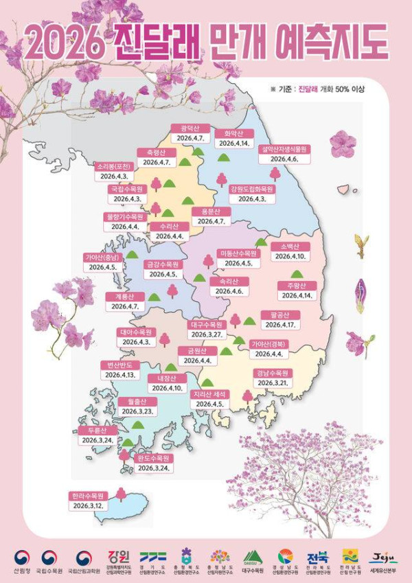 【2026釜山櫻花攻略】官方最新預測花期提前！8大賞櫻景點必去推介 