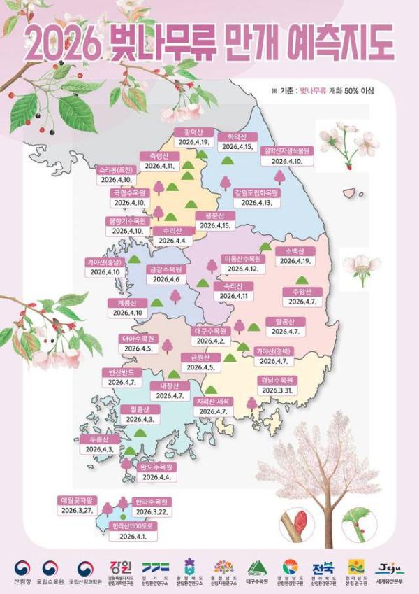 【2026釜山櫻花攻略】官方最新預測花期提前！8大賞櫻景點必去推介 