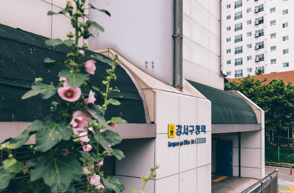 【2026釜山櫻花攻略】官方最新預測花期提前！8大賞櫻景點必去推介 