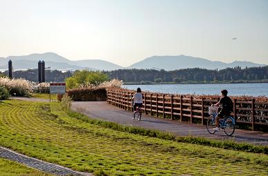 【2026釜山櫻花攻略】官方最新預測花期提前！8大賞櫻景點必去推介 