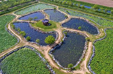 【2026釜山櫻花攻略】官方最新預測花期提前！8大賞櫻景點必去推介 