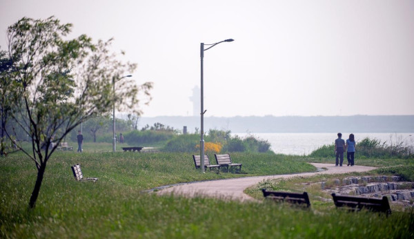 【2026釜山櫻花攻略】官方最新預測花期提前！8大賞櫻景點必去推介 