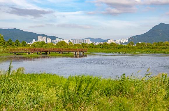 【2026釜山櫻花攻略】官方最新預測花期提前！8大賞櫻景點必去推介 