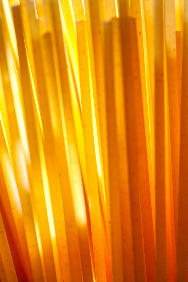 過期食品唔使扔!專家揭12種食物過期仍可食:呢款擺1年都得?附分辨方法