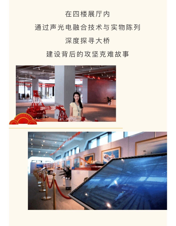 港珠澳大橋推生日免費遊！140分鐘深度參觀藍海豚島附預約教學 