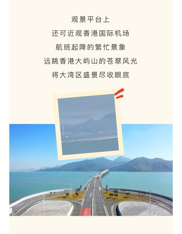 港珠澳大橋推生日免費遊！140分鐘深度參觀藍海豚島附預約教學 