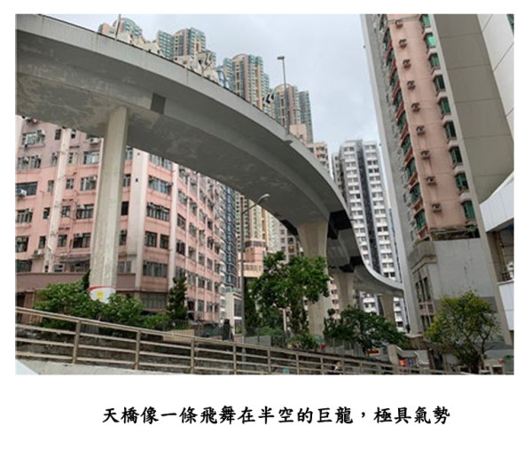 港島驚現都市過山車！開篷巴士狂衝西環「奪命斜」 網民嚇到腳軟：腳趾抓實地
