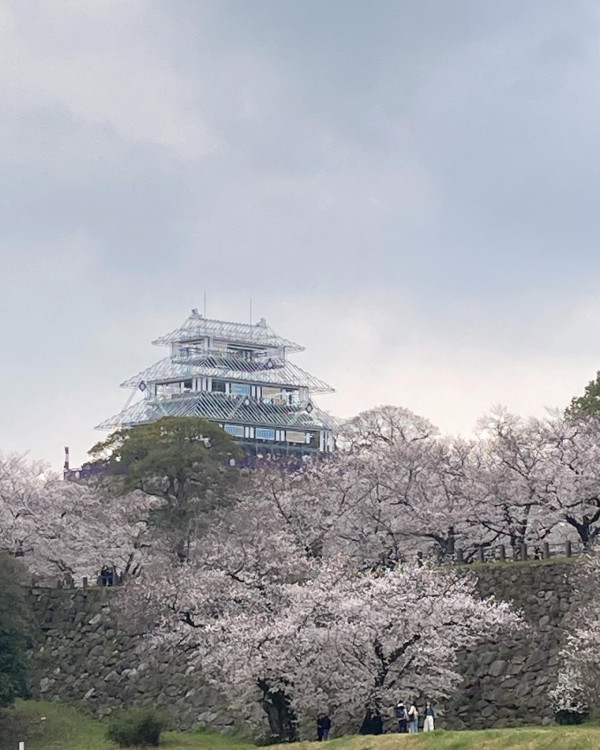 圖片來源：FB@舞鶴公園