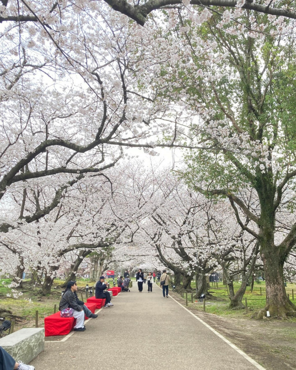 圖片來源：FB@舞鶴公園