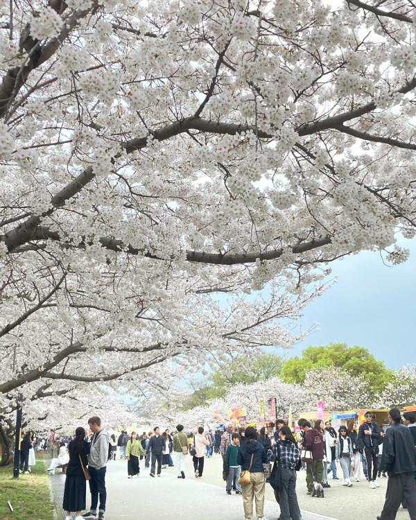 圖片來源：FB@舞鶴公園
