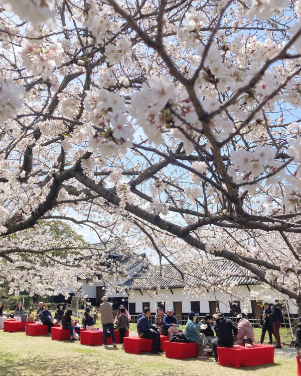 圖片來源：FB@舞鶴公園