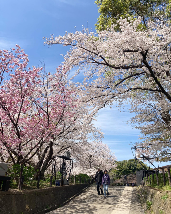 圖片來源：FB@舞鶴公園