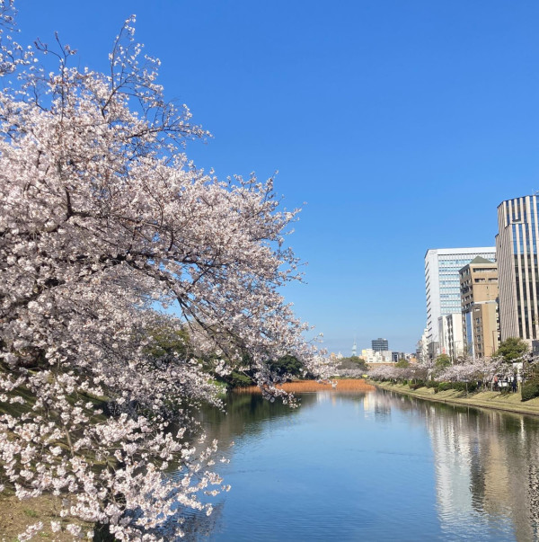 圖片來源：FB@舞鶴公園